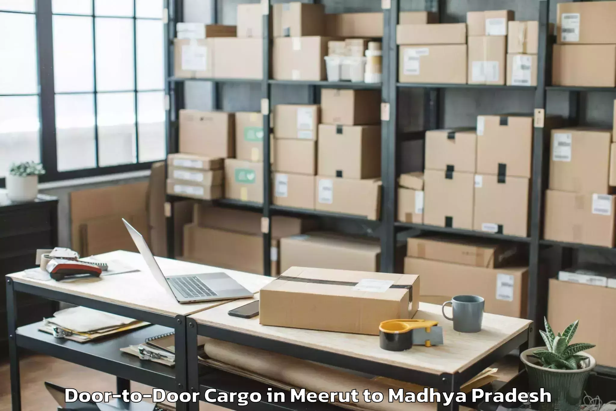 Reliable Meerut to Shahdol Door To Door Cargo